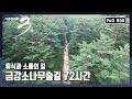 [다큐3일★풀버전] 2010년 산림청이 조성한 1호 숲길, 자연과 사람이 공존하는 길 "더불어 숲 - 울진 금강소나무숲길 72시간"  (KBS 20161009 방송)