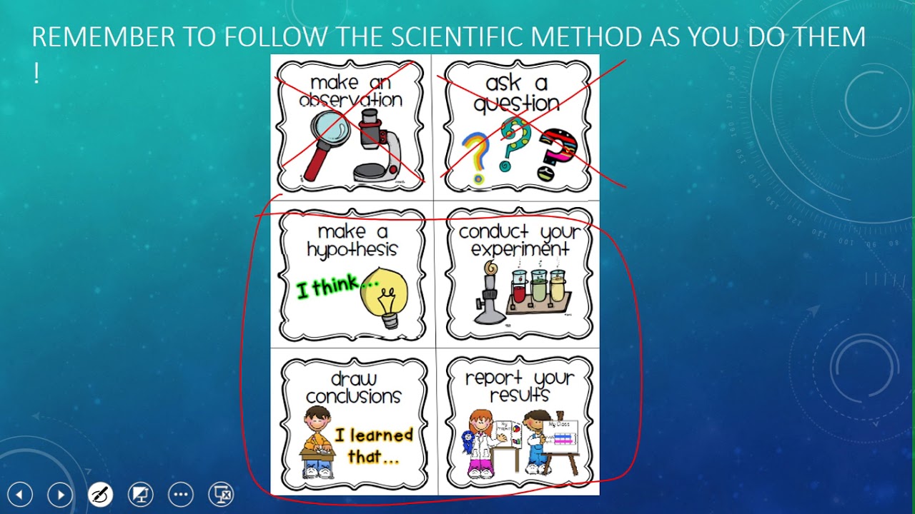 Science - Experimenting with the Scientific Method - June 22 - YouTube