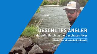 DESCHUTES RIVER SALMONFLY HATCH - Useful Tips with Guide Nick Rowell