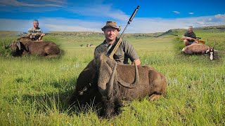 Hunting for a Cause Wildebeest Blesbuck Bushpig Supporting the Community #kotzeadventuresfoundation