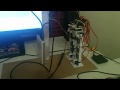 12 dof legged robot on USB battery controlled via Bluetooth