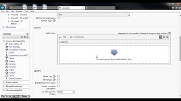 Drag and Drop works in IE10!