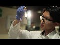 Find your passion  uq science