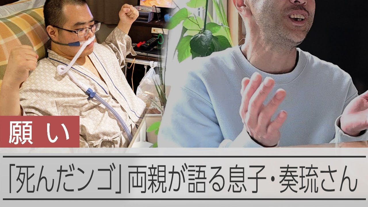 死ん だ ンゴ