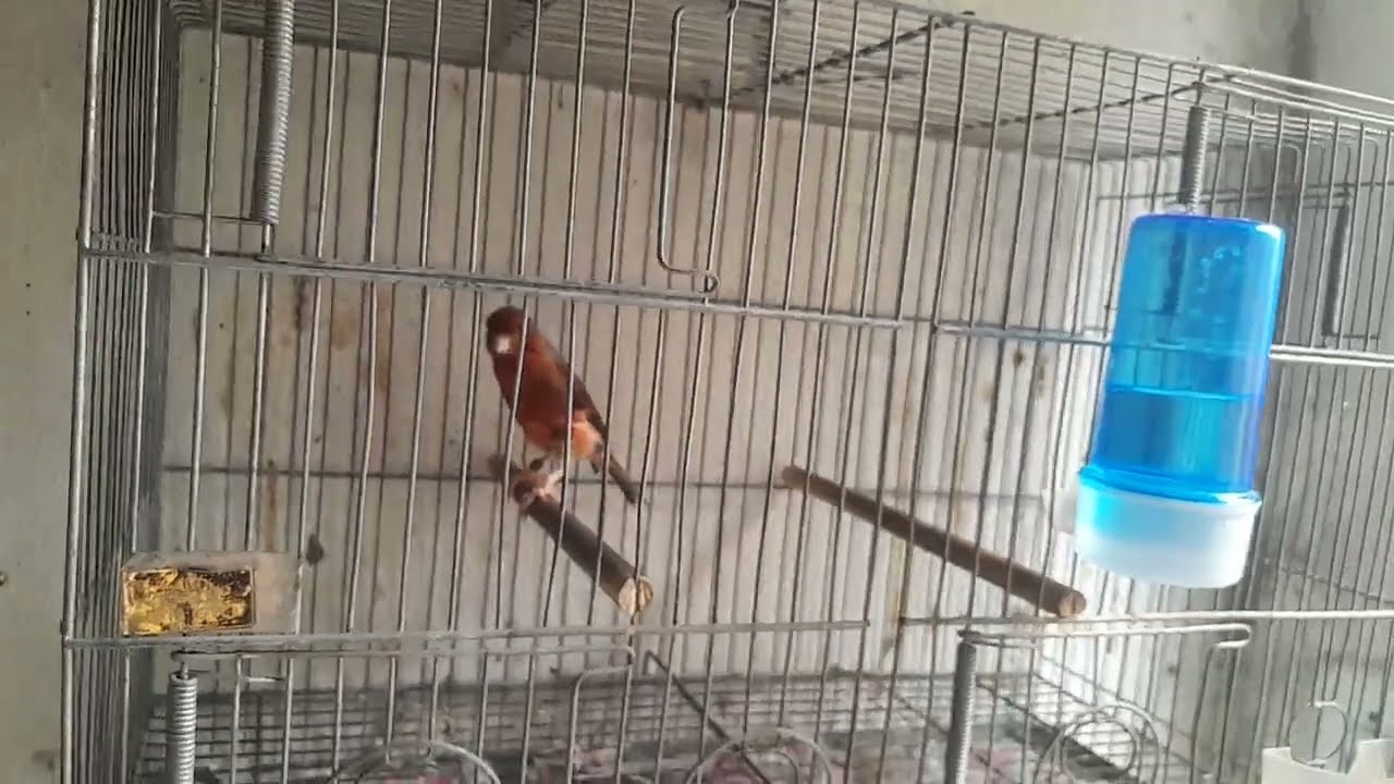 Um feliz 2026 a cada um amigo e amiga.