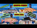 MUITO PEIXE E MUITA DICA / SÓ MONSTRO / SAIL FISH / OLHO DE BOI / AMBERJACK / CIOBA /DENTÃO/FF PESCA