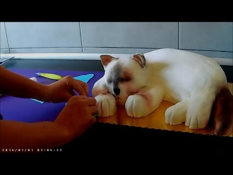 Torty 3d Kompilacja Zjadłbyś Youtube