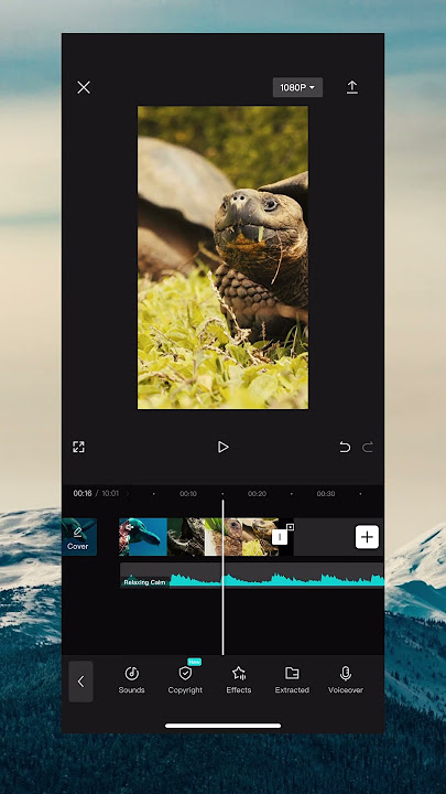 How to Move Audio in CapCut #shorts