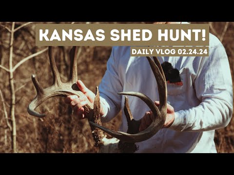 KANSAS SHED HUNT! 5 year old deer found! Daily Vlog 02.24.24