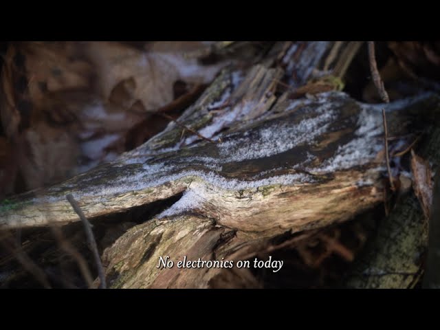 Watch Ghosts on TV : Sunshine on YouTube Watch Ghosts on TV : Sunshine on YouTube