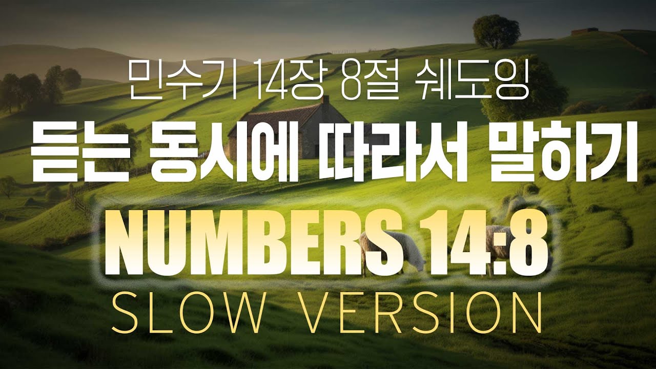 numbers-14-8-slow-youtube