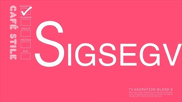 s is for segmentation fault