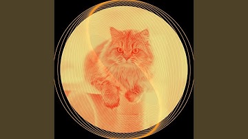 Inspired Lazy Cat Days