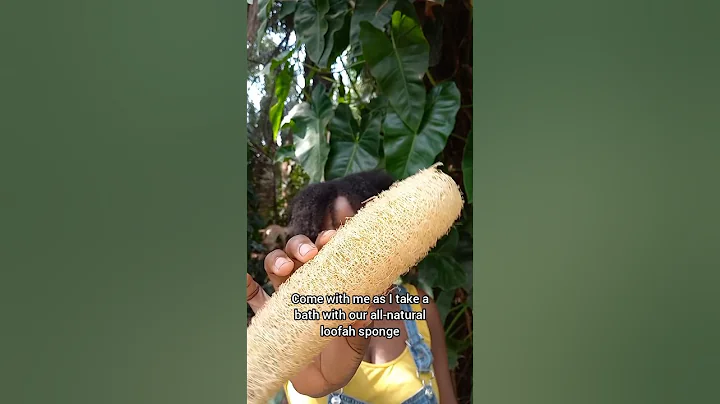 How to use a Loofah sponge #livingsustainablywithus #loofah #ecofriendly