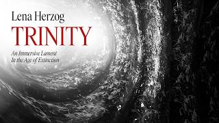 TRINITY Trailer / 3 min