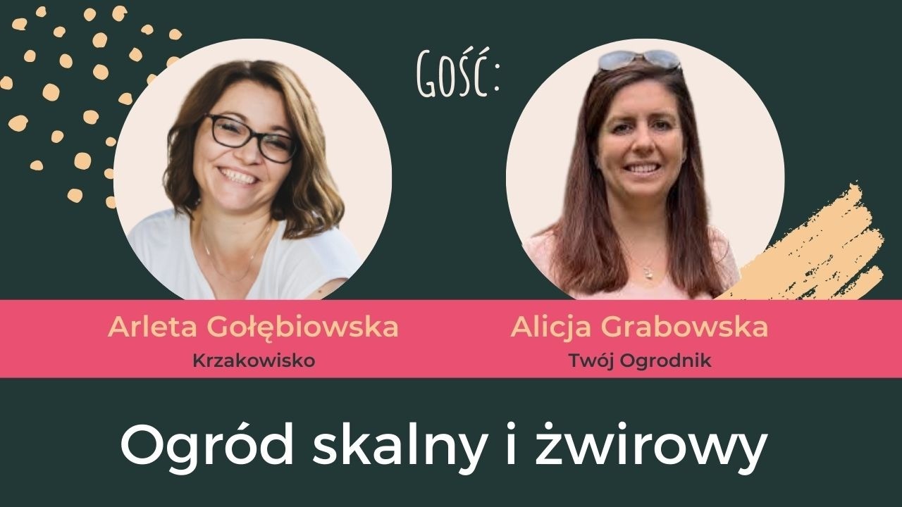 Jak założyć skalniak, który nie straszy? Rozmowa z Alicją Grabowską 🏔️