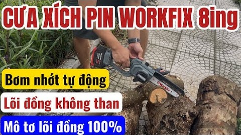 Video Test Thực Tế Máy Cưa Xích Pin WORKFIX 8in Lam Dài 24cm Hàng Chính Hãng