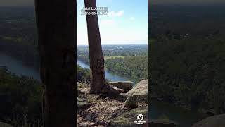 Journey to Portal Lookout Glenbrook: A Nature Lovers Paradise