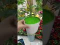 আর্টিফিশিয়াল বড় তাল গাছের সেটিং ১০
