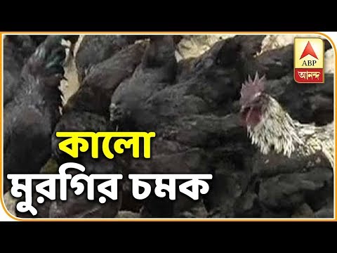 ভিডিও: ওহুতে ডোল প্ল্যান্টেশন দেখার জন্য গাইড