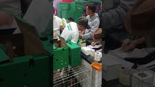 Dan Miller World Expo