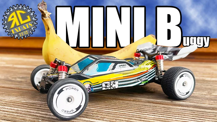 WLTOYS 244016. The CHEAPER Mini Buggy.