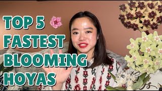 5 Fastest-Blooming Hoyas for 2026 🌸 + 3 Bonus Picks for Quick Blooms with ⁨@plantoohlala⁩