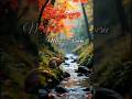 A Chopin-esque piano meditation by a misty mountain stream