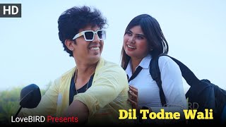 Dil Todne wali |  Love Bird Presents