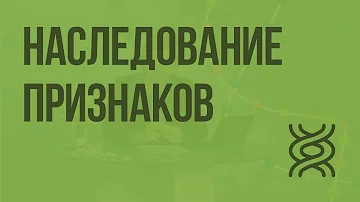 Наследование признаков, сцепленных с полом. Видеоурок по биологии 9 класс