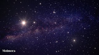 Celebrity Experience Tranquility and Harmony with Mindful Meditative Music Net Worth