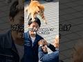 【500万円のリフォーム詐欺】おばあちゃんを狙う詐欺師vs猫!驚愕の結末は!?#シニア #スカッとする話 #感動する話 #猫のいる暮らし