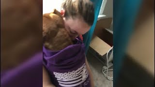 Cute Rescued Pit Bull Hugging His Owner