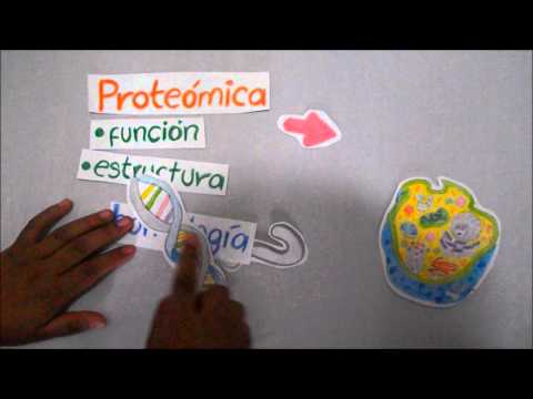 Vídeo: Gráfico De Craig 2.0: Uma Navegação Interativa No Espaço Bioisoesérico Substituinte