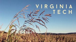 a weekend in blacksburg, va