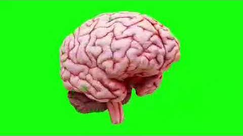 Brain Green screen effects