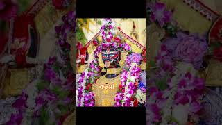 বড়মা আমার সোনা মা 🌺#shiorts 🌈🌄🪷🌹🌺🌻🌈🌄🪷👌🏻🙏