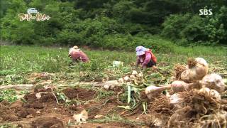 네트워크 현장 고향이 보인다 130730 #3(5)