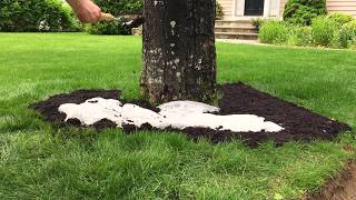 Sunny Tree Roll Out Flower Mat