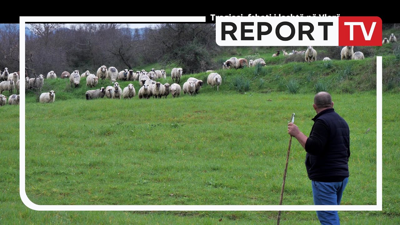 Tragjasi, fshati i lashtë në Vlorë l Veri Jug