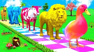 Long Slide Game With Cow Elephant Gorilla Hippopotamus Tiger - 3D Animal Game - Funny 3D Animals