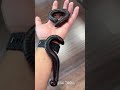 Incredible Animal Transformations!