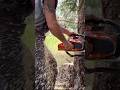 Husqvarna 564 #logger #timberfaller #treefelling #firewood #chainsaw #woodman #evolve #bbr