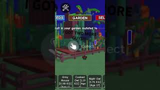 I Got Two More Giant Cacti