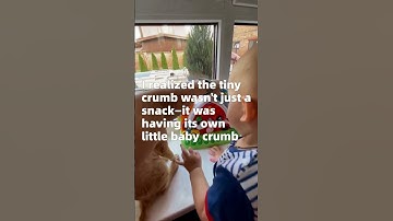 #shorts My Fish Treat Stash Is Getting Bigger By Itself?! (Compound Interest Explained by a Cat)