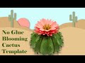 Blooming cactus instructional