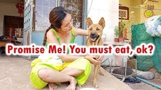 CUTE GIRL IS LURING HER DOG TO MAKE HIM FEEL LIKE EATING