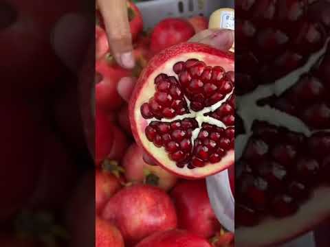   الرمان يمني