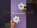 DIY Paper Flower🌼