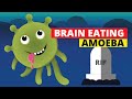 Brain Eating Amoeba Naegleria Fowleri